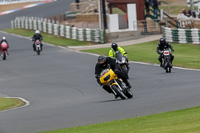 Vintage-motorcycle-club;eventdigitalimages;mallory-park;mallory-park-trackday-photographs;no-limits-trackdays;peter-wileman-photography;trackday-digital-images;trackday-photos;vmcc-festival-1000-bikes-photographs